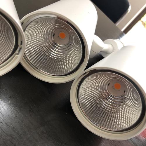 led照明器具 6個セット 中古 オーデリック odelic スポットライト os